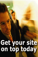 Search Engine Placement and Optimisation. Internet Marketing, Web Site Promotion and Pay Per Click Management